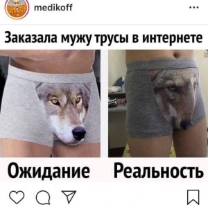 Create meme cowards, briefs with a wolf joke, underpants with the face of  a wolf - Pictures 