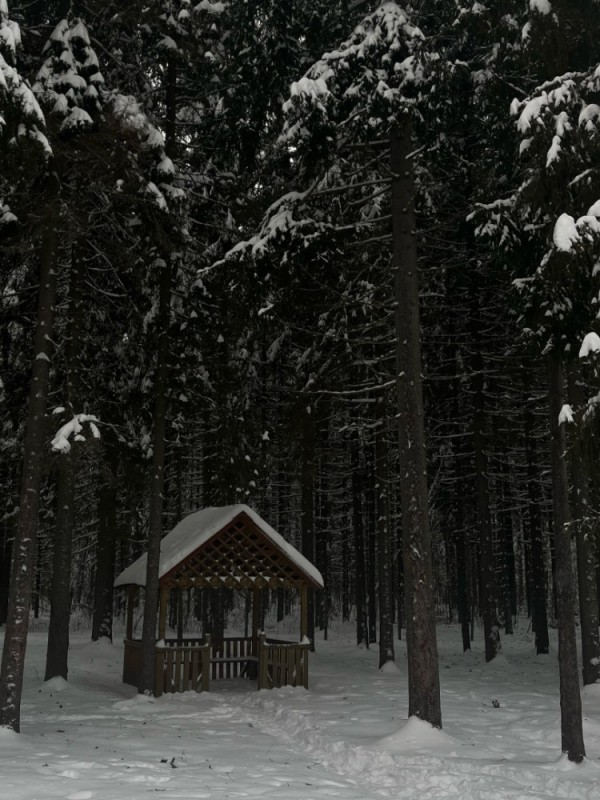 Create meme: Lindulovskaya grove gazebos, Lindulovskaya grove in winter, Hotel in the forest