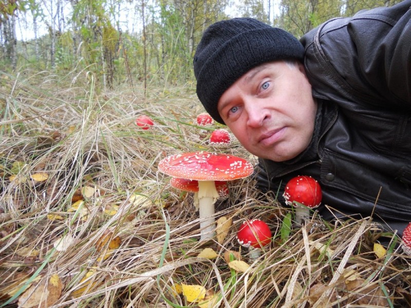 Create meme: mushroom, mushroom fly agaric, Gennady Gorin with a mushroom