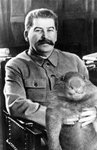 Create meme: the trick, Stalin and the wombat, Joseph Stalin