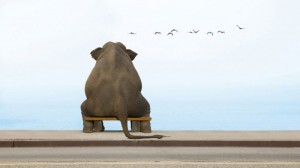 Создать мем: обиженный слоник, слон смешные картинки, грустный слон