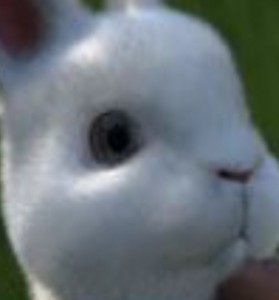 Создать мем: bunny, кролик животное, кролик лапин