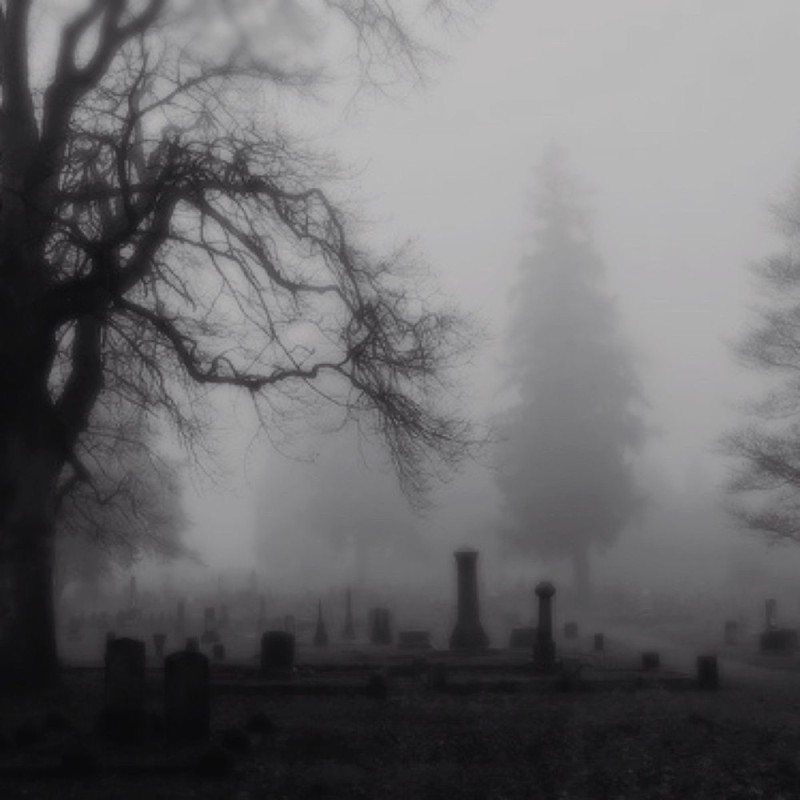 Create meme: photos of the cemetery, forest fog cemetery, cemetery aesthetics