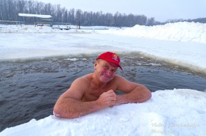 Create meme: swimming in the hole, walrus, the ice on the lake