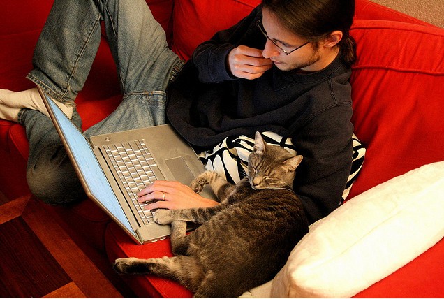 Create meme: the cat at the computer, cat at the computer, pair programming