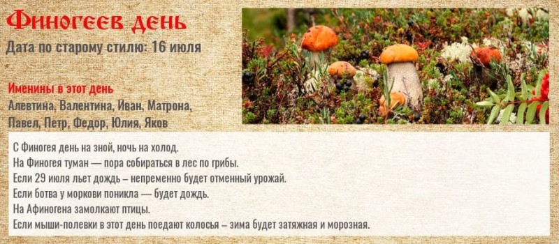 Create meme: the national holiday of finogeevs day, the national calendar, July 29th national calendar