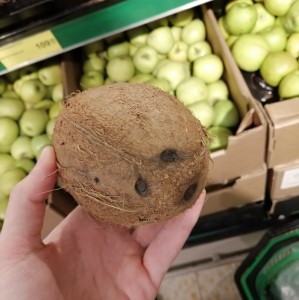 Create meme: coconut on white background, coconut, coconut