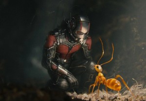 Создать мем: муравей, человек муравей 2015 герои, человек-муравей фильм 2015 муравей больой