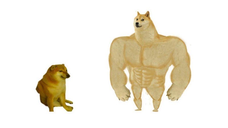 Create meme: the dog is a jock meme, pumped up dogs, shiba inu jock