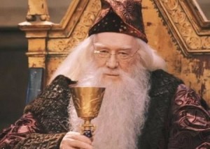 Create meme: michael gambon, Richard Harris, Dumbledore