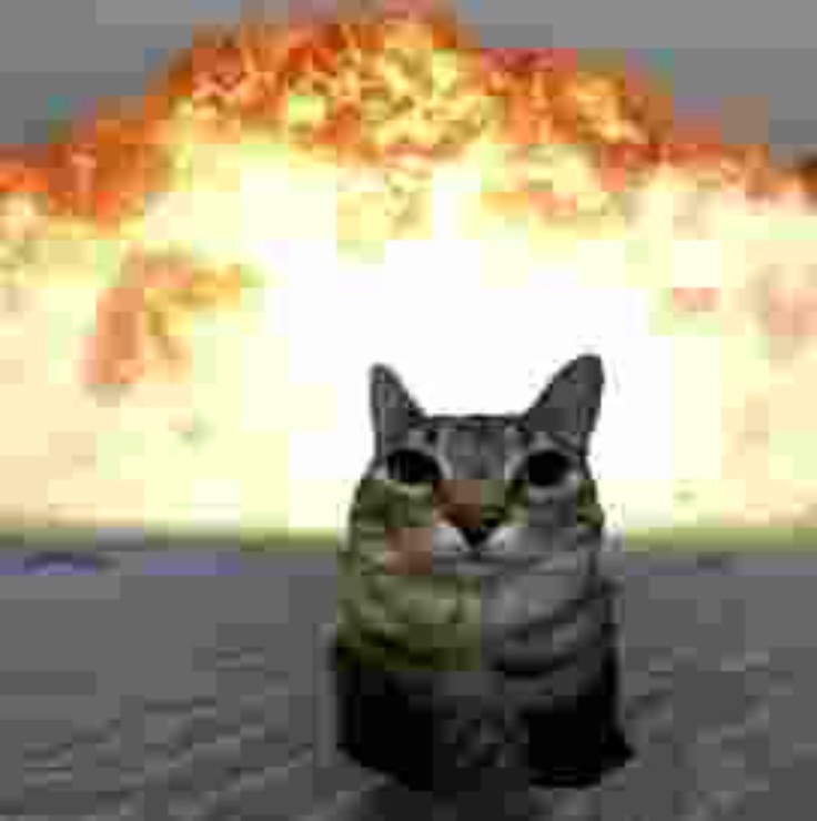 Create meme: cat on the background of an explosion, cat explosion, a cat on the background of an explosion