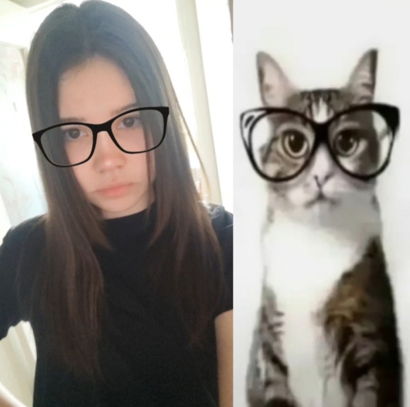 Create meme: cat with glasses, cat in glasses , cats in glasses