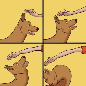 Create meme: meme comic dog