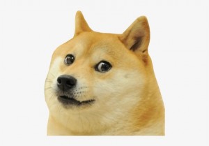 Create meme: doge, doge dog, Shiba inu doge