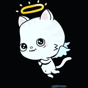 Create meme: kitty, cute cats, kitty unicorn