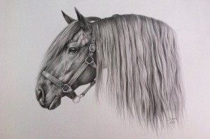 Create meme: dream rider, horse, pencil drawing