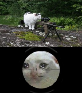 Create meme: sniper meme, sniper, sniper cat meme