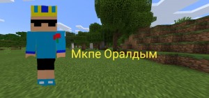 Create meme: minecraft pe, mod, minecraft