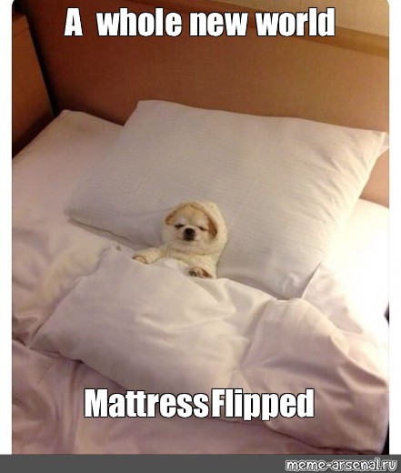 Meme A Whole New World Mattress Flipped All Templates Meme Arsenal Com