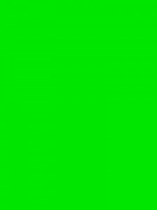 Create meme: light green, color green