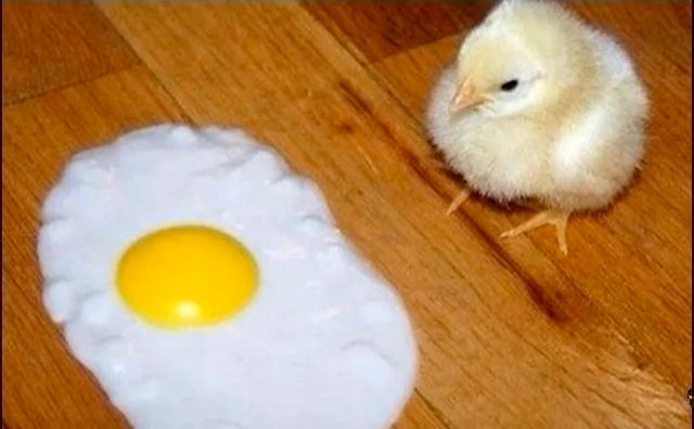 Create meme: egg chicken, Chicken is a joke, chicken and scrambled eggs