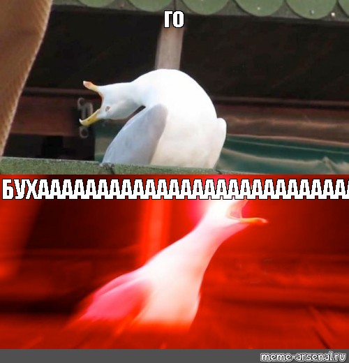 #Seagull meme. 