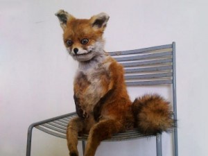 Create meme: Stoned Fox