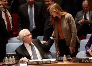 Create meme: the security Council of the UN, Ambassador, Vitaly Churkin