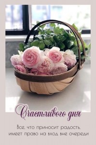 Create meme: beautiful roses, the flowers are beautiful