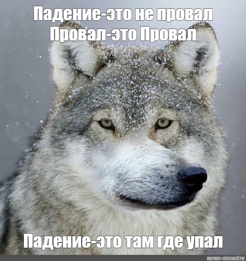 „Падение не провал. Провал в желании остаться жить там, где упал.“