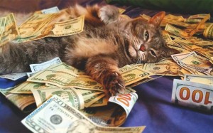 Создать мем: деньги и смешные коты, яндекс.деньги, довольный кот с деньгами