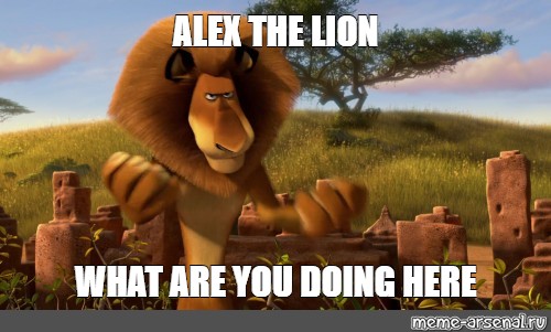 Meme Alex The Lion What Are You Doing Here All Templates Meme Arsenal Com