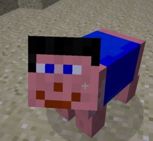 Create meme: the head of the pig from minecraft, discotrash minecraft, Steve head PNG