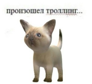 Create meme: Artem, cat