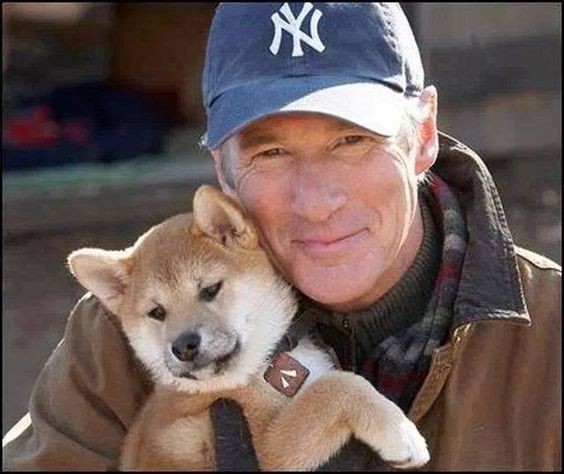 Create meme: Richard gere hachiko, the dog Hachiko, Hachiko movie