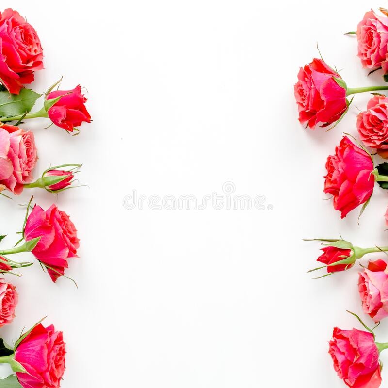 Создать мем: цветы рамка, красные розы на белом фоне, фон для поздравления цветы