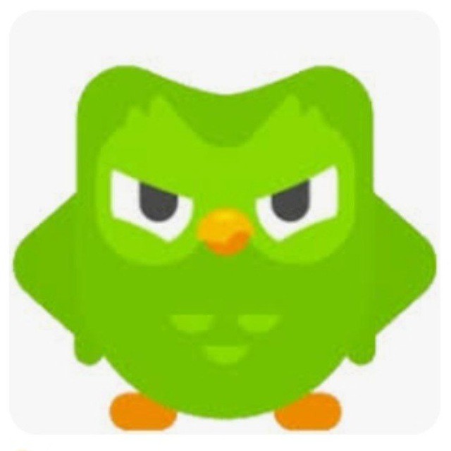 Create meme: duolingo the killer owl, duolinguo, owl duolingo