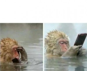 Create meme: funny animals, morning after drinking funny pictures, a monkey with phone symbols