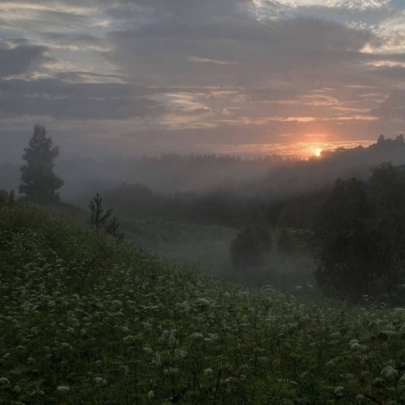 Create meme: morning summer, morning landscape, foggy landscape