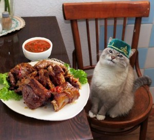 Create meme: the cat with the pancakes, cat blini, cat