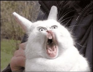 Create meme: screaming Bunny meme, screaming hare, screaming rabbit