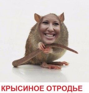 Create meme: Rat Sabcoha