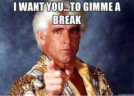 Create meme: Rick Fleur wrestler, Rick Flair as a young man, ric flair 