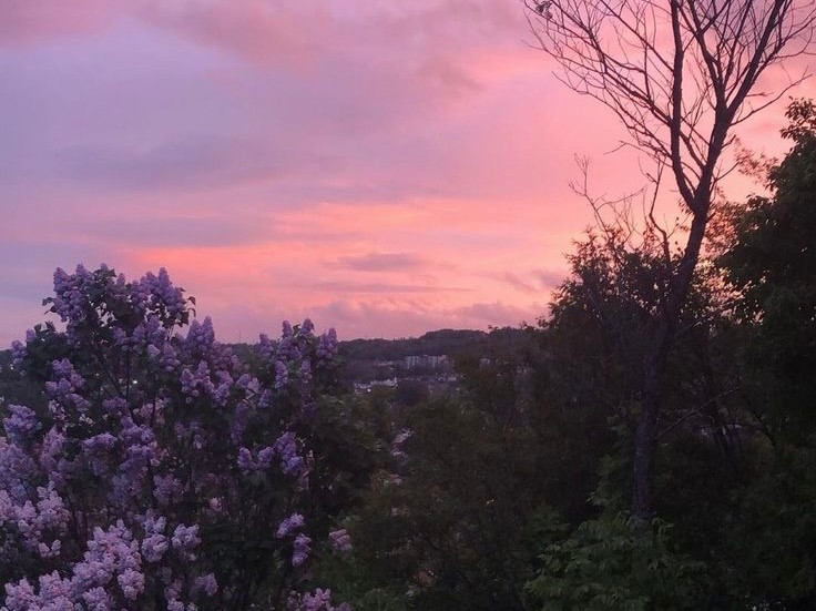 Create meme: lilac night, sunset landscape, purple sunset