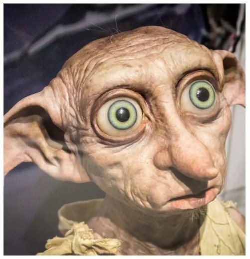 Create meme: Dobby from Harry, Dobby , harry potter dobby the elf