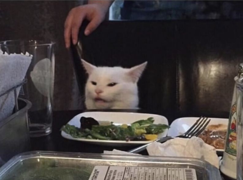 Создать мем: кот с салатом мем, мем с белым котом, кот мем