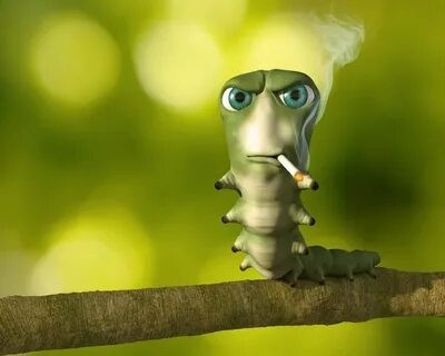 Создать мем: червяк с сигаретой, смешная гусеница, курящая гусеница мем