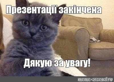 Создать мем: мем туть, кот туть, котик мем