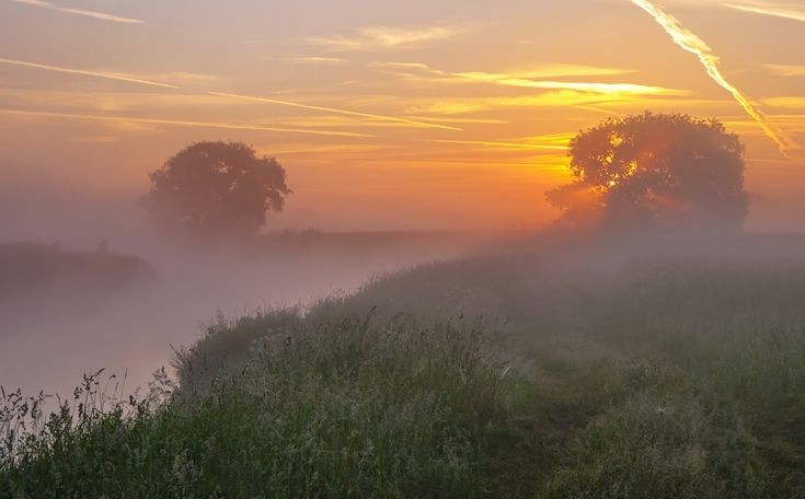 Create meme: nature sunrise, landscape fog, foggy landscape