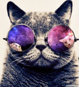 Create meme: cat, dubstep cat, cat with cosmos glasses